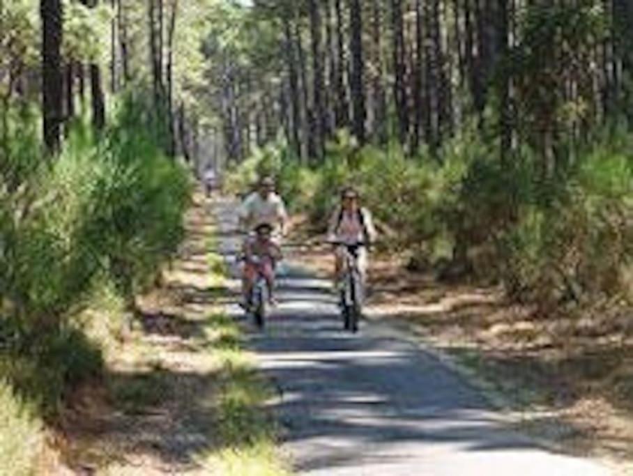 Maison De Vacances 4/5 Personnes A Leon, Landes Buitenkant foto